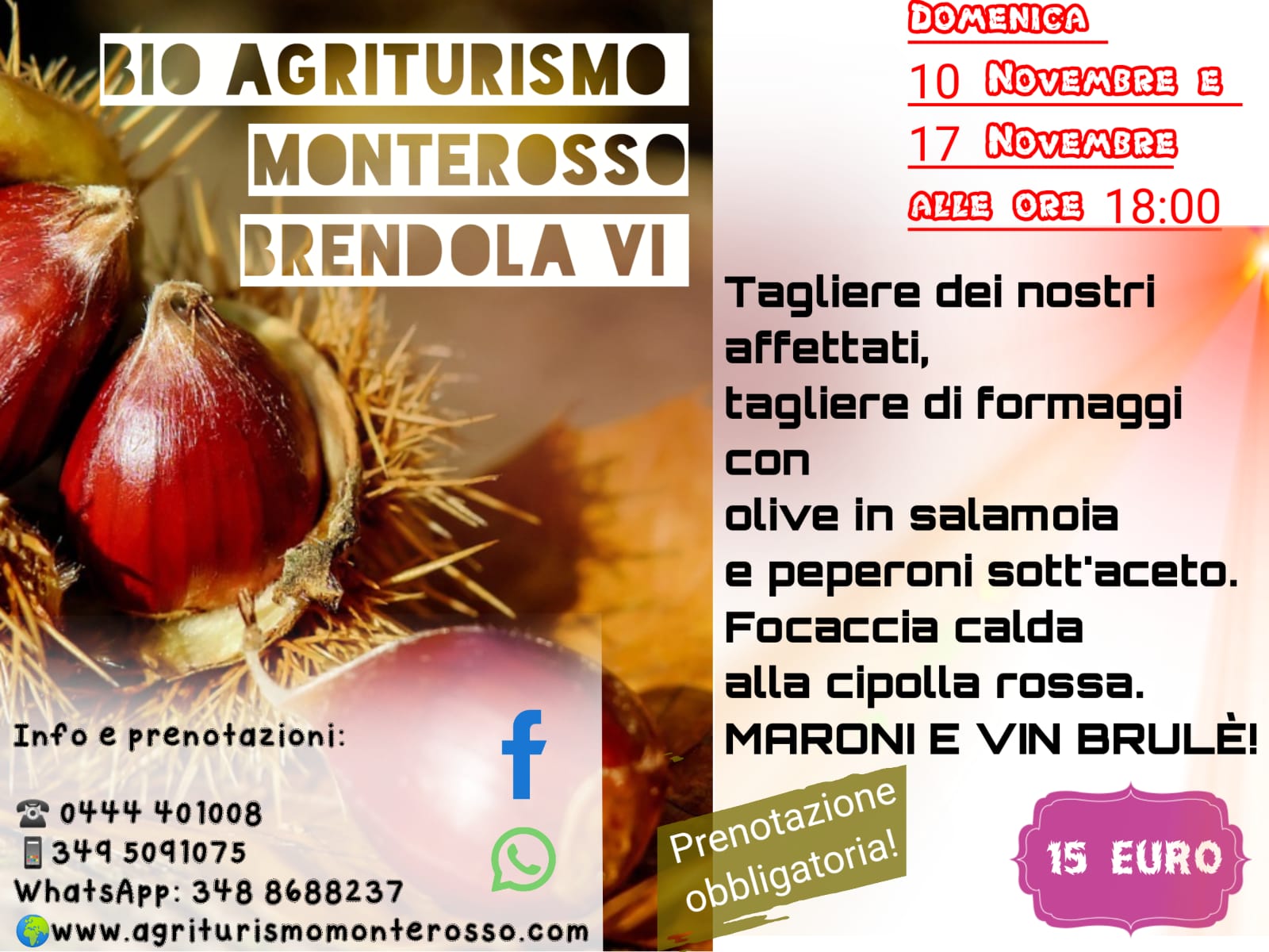 Immagine non disponibile