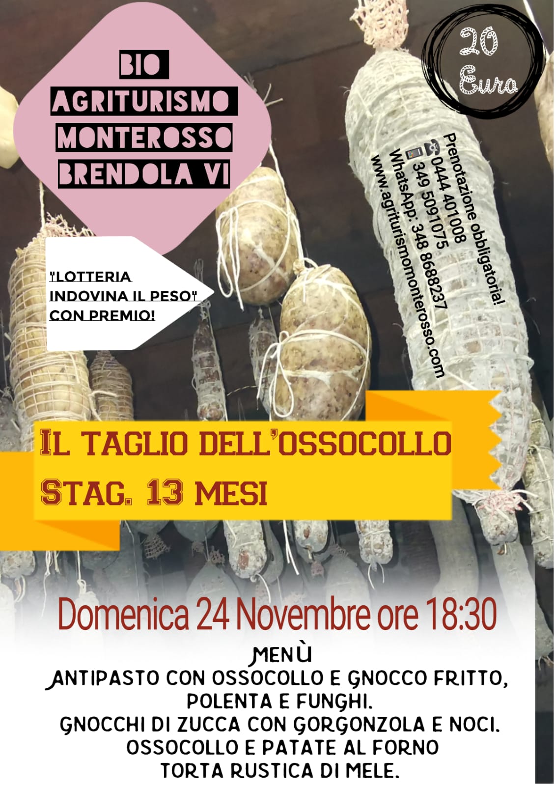 Immagine non disponibile