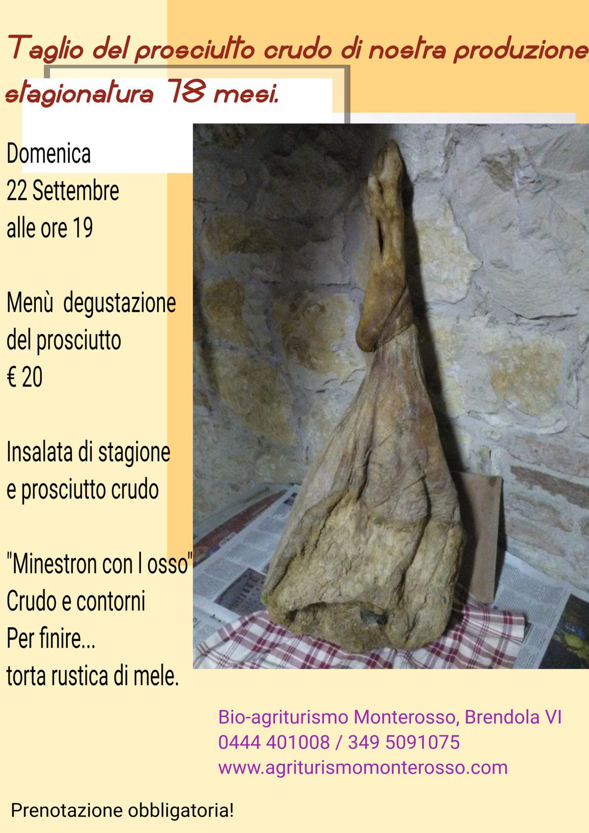 Immagine non disponibile